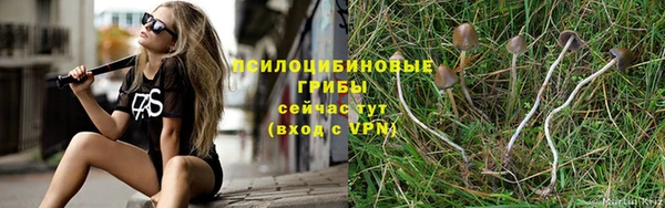 хмурый Батайск