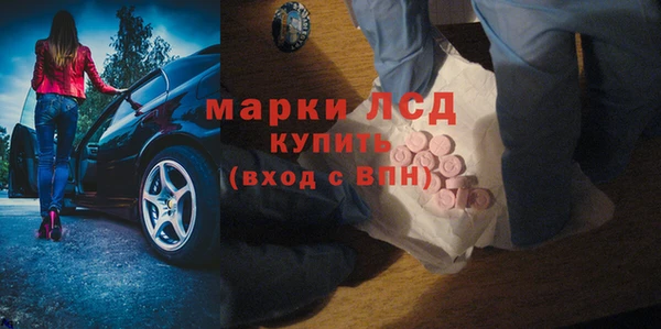 apvp Аша