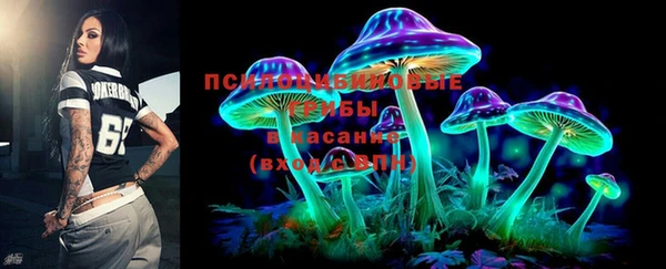 PSILOCYBIN Заводоуковск