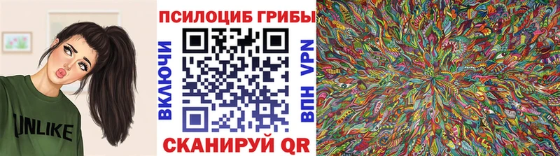 купить   Белоярский  Псилоцибиновые грибы мицелий 